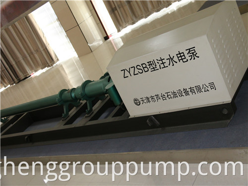 Horizontal pressurized water injection pump